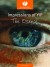 Impressions of YIP - the Essence - Cover
