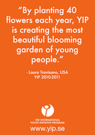 Featured image for “YIP-quote-laura”