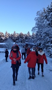 SnowWalk