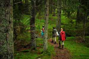 YIP 9 hike