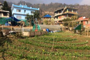 Land and House in Nepal
