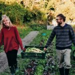Thinking like a Mountain:  science, ecology and meaning