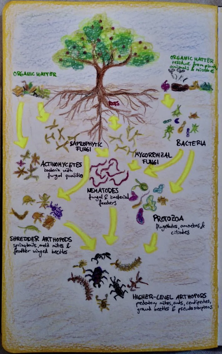 Featured image for “unnamed-3”