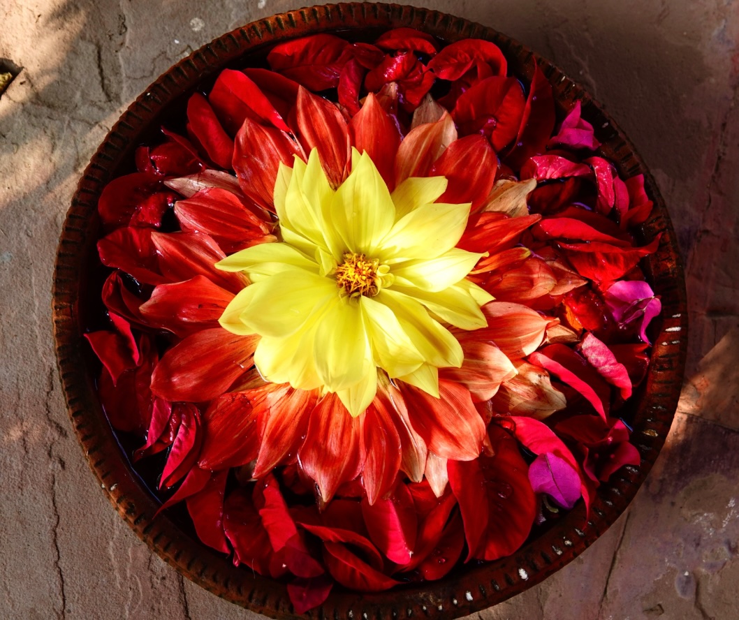 Featured image for “unnamed”