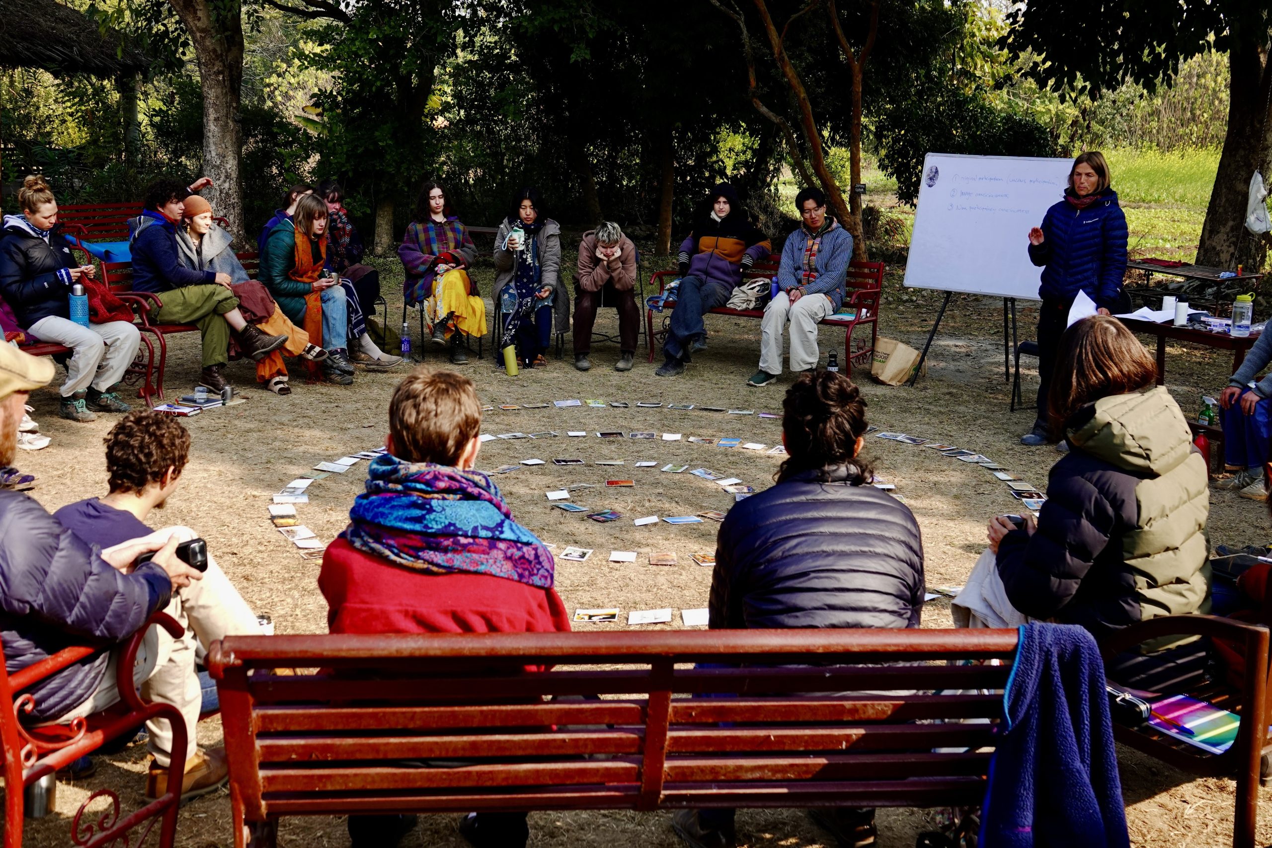 Featured image for “News from YIP- January 2026”